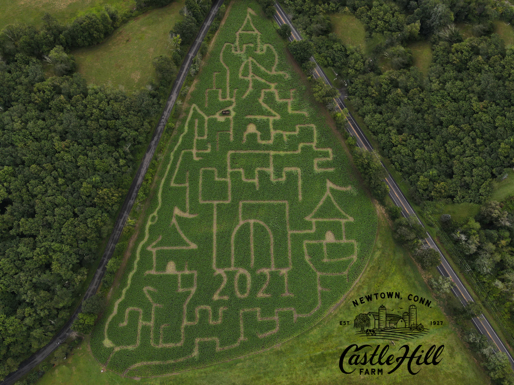 Aerial view of 2021 castle-shaped corn maze at Castle Hill Farm
