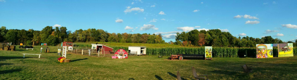 Farm field with barns, cornfield, painted signs, and fall decorations