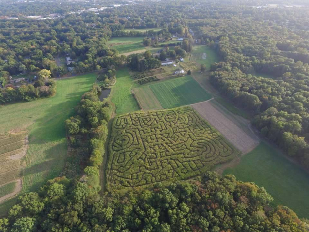 Aerial view of a large corn maze with intricate paths in a rural area