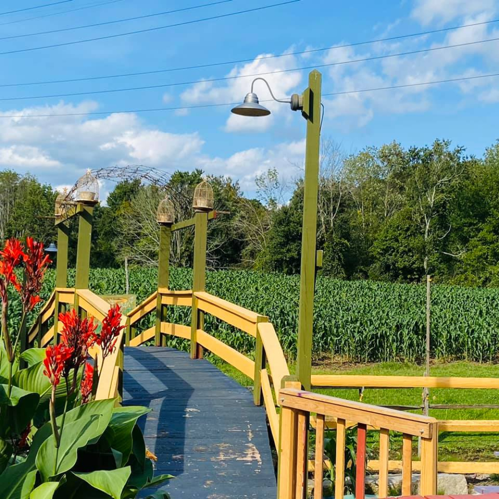 Wooden bridge with lanterns overlooking green cornfield on sunny day