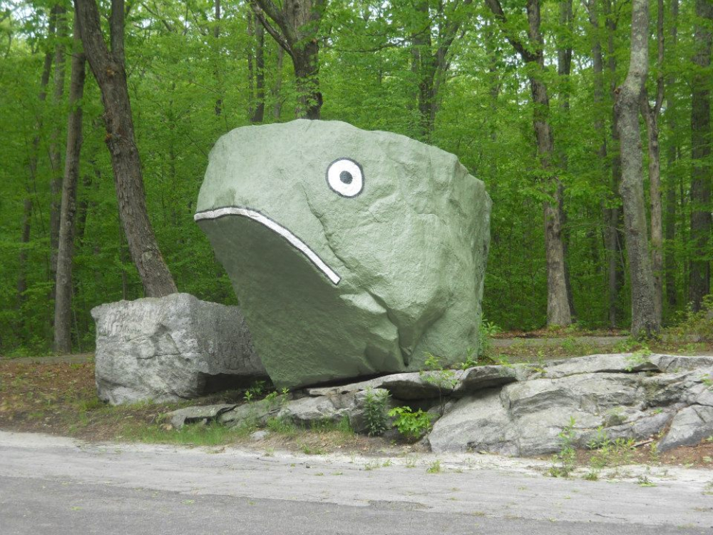 Large green rock painted to resemble a frog head in wooded area