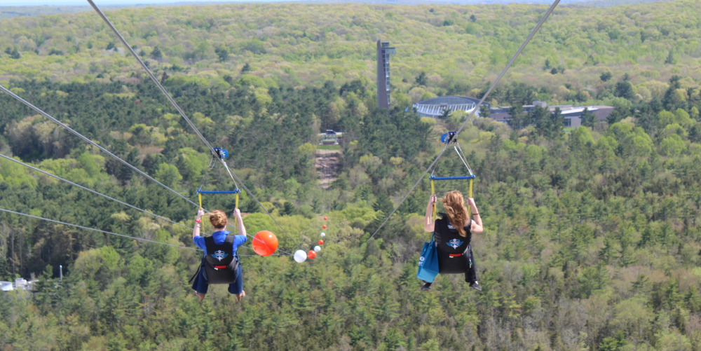 Two people on zipline soaring above green forest with balloons in between