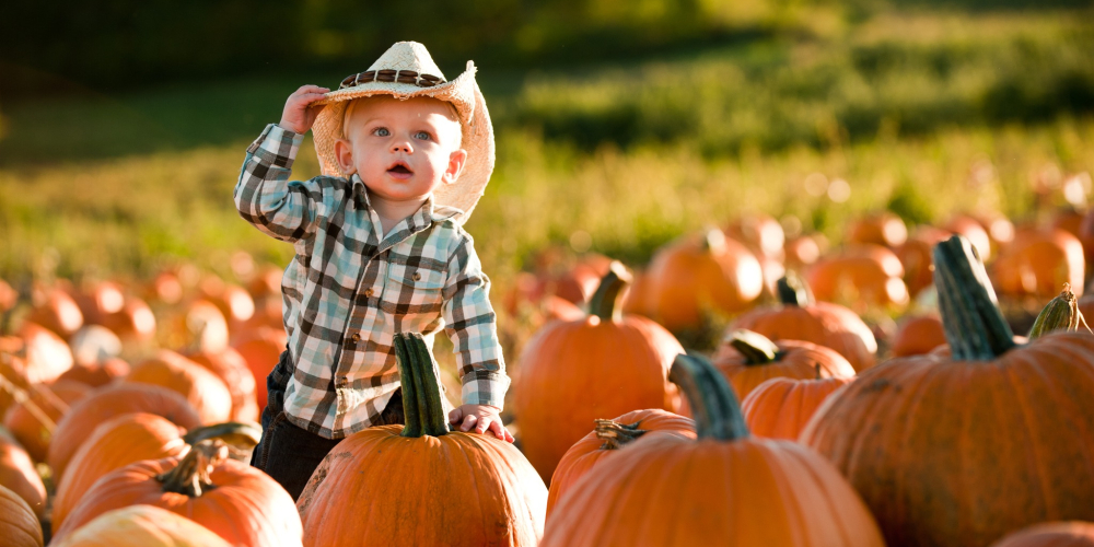 Toddler in plaid shirt and cowboy hat among pumpkins in a field