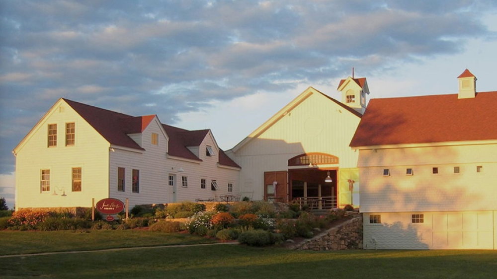 buildings on a vineyard at sunset