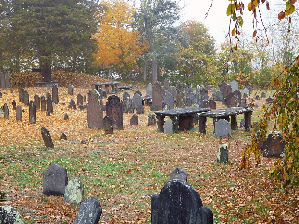 Antientist Burial Ground Tour: The African American Connection 