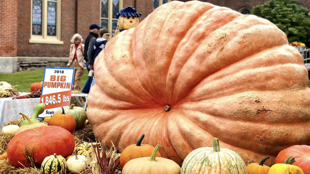 Festival de la calabaza