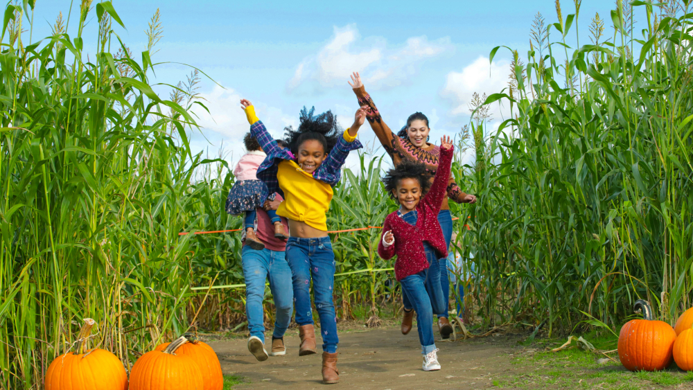jones family farms