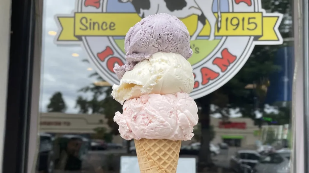 Helado de productos lácteos Mortensen | Newington CT