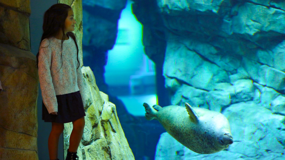 acuario marítimo