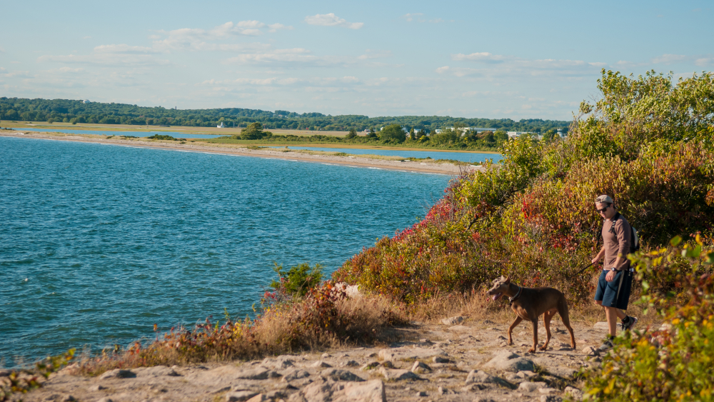 Parque estatal Bluff Point - Groton