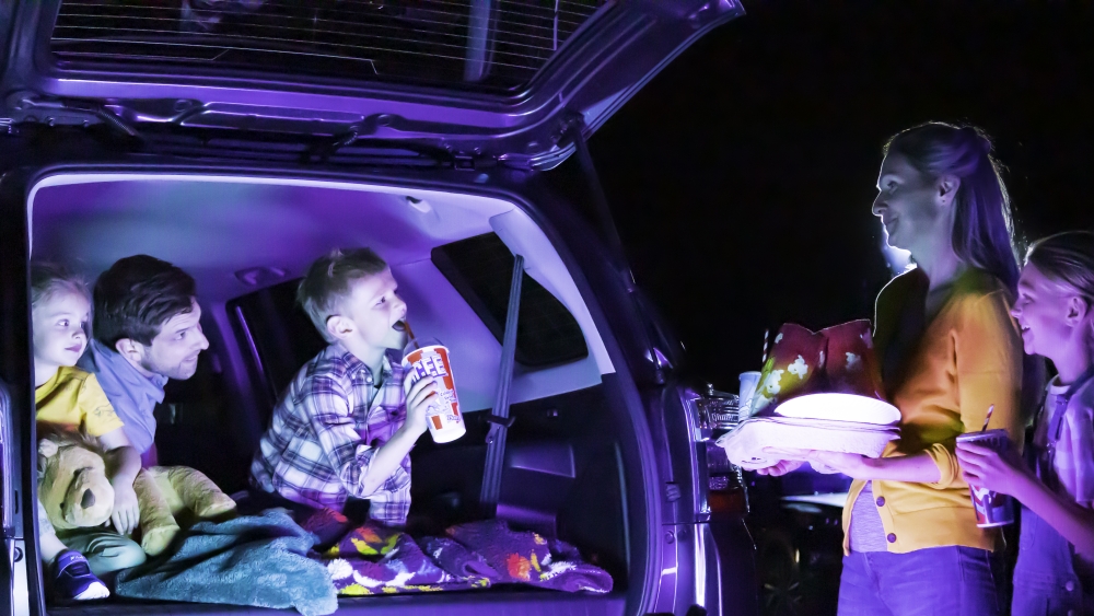 mansfield drive in