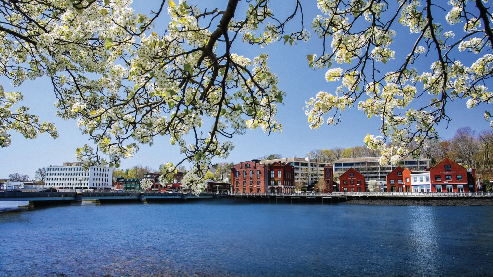 downtown westport skyline
