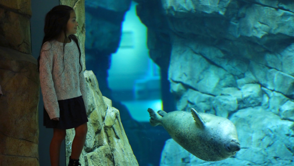 acuario marítimo