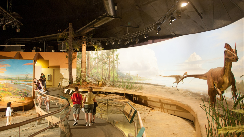 dinosaur state park interior