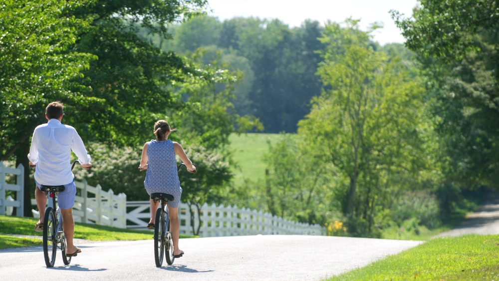 Vista de la bicicleta