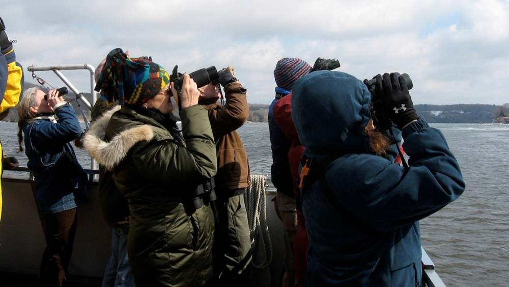 Eagle Watching From the Water