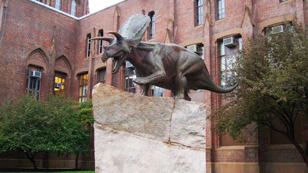 yale peabody Museum