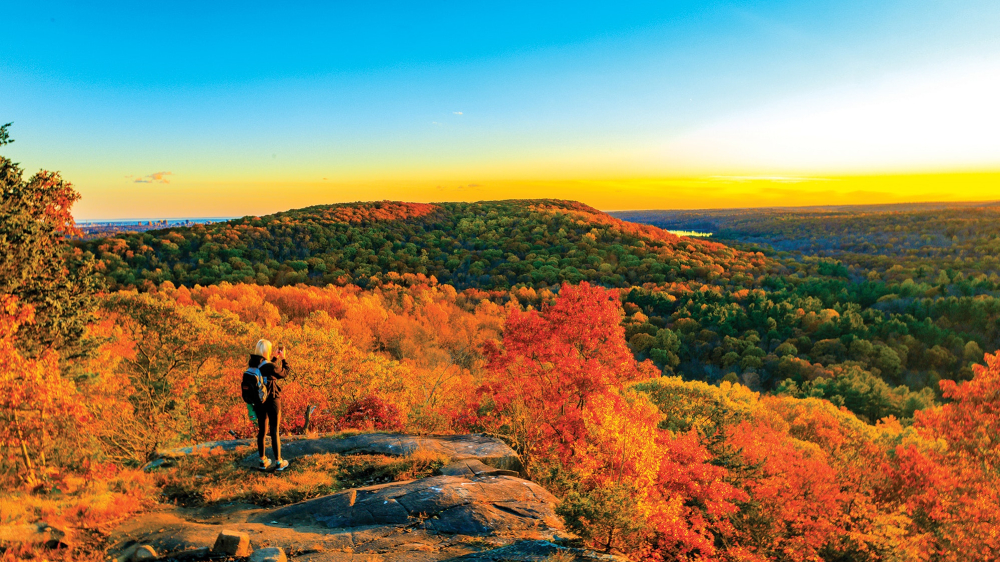 Gigante durmiente - Otoño