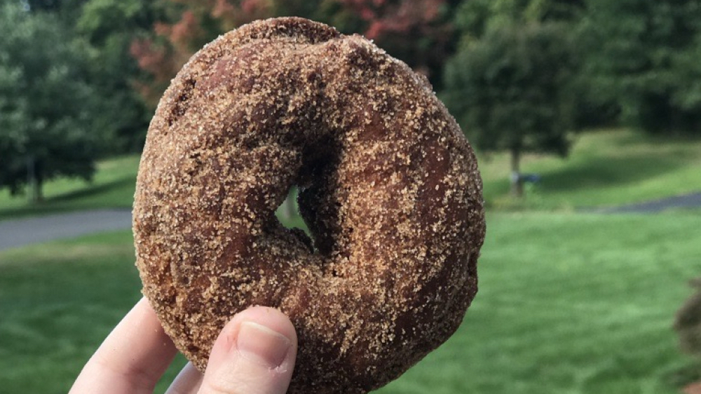 Una mano sosteniendo una dona de sidra