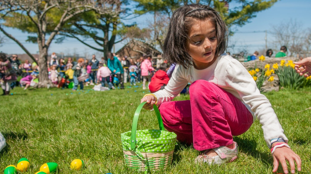 búsqueda de huevos de Pascua