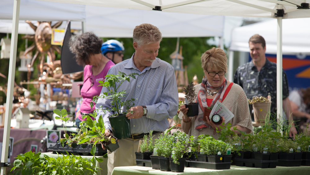 mercado de mayo de Hill-stead