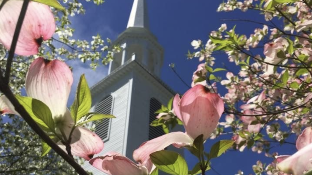cornejos de Fairfield
