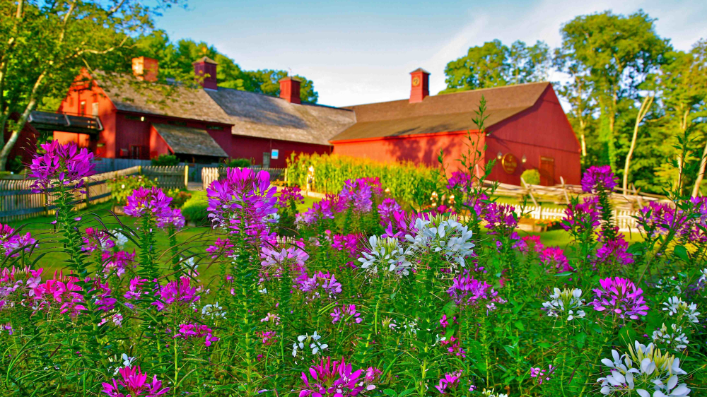 Sharpe Hill Vineyard