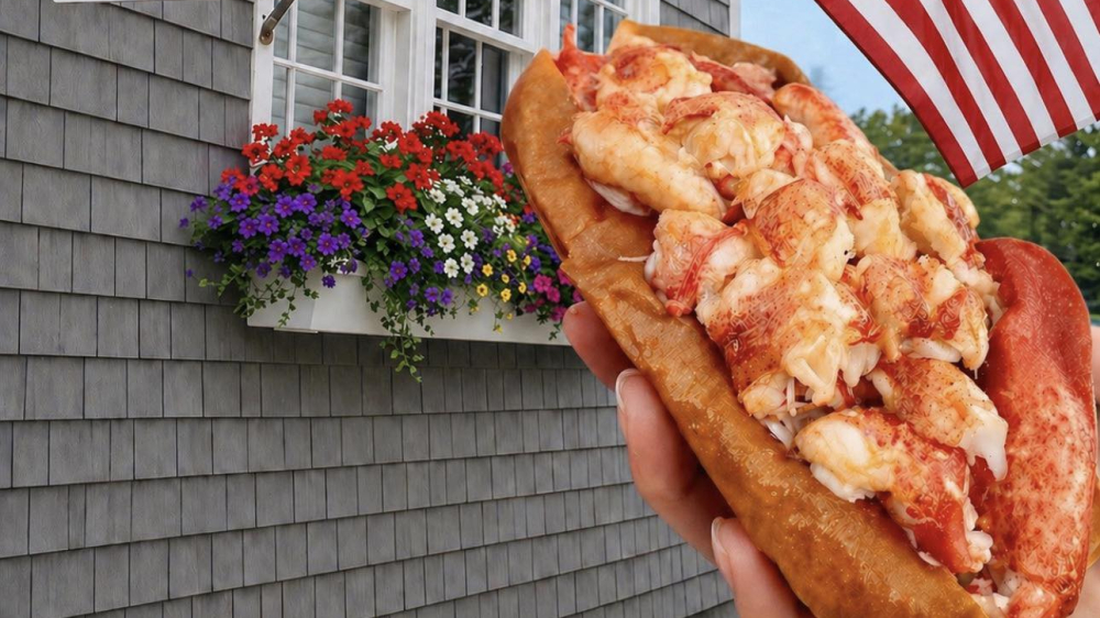 A lobster roll from Liv's Shack, Old Saybrook 