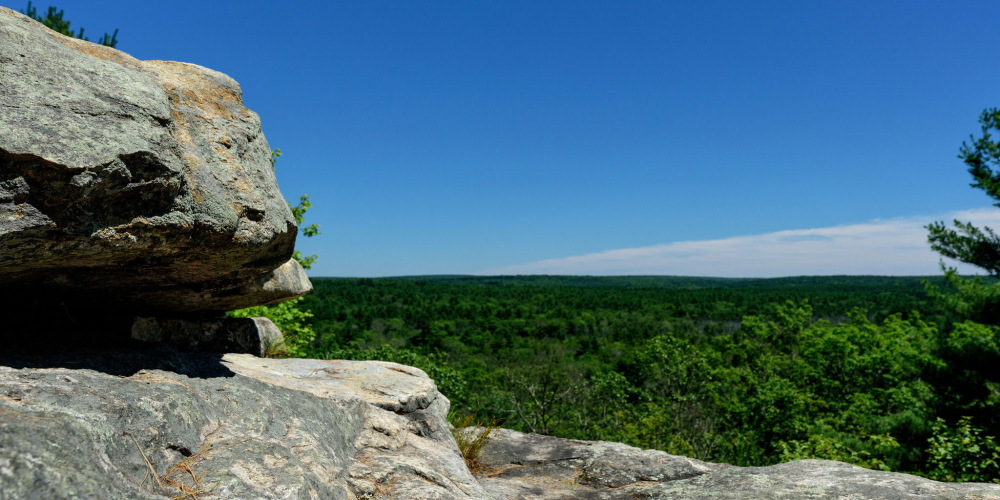 Rocky overlook with green forest under clear blue sky
