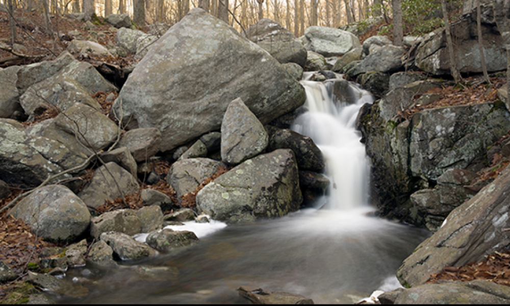 Ambler Cascade in Weston