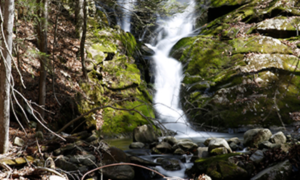 Hancock Brook Cascades in Waterbury