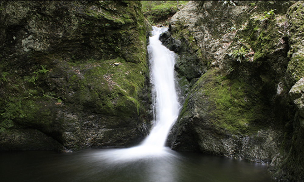 Indian Well Falls in Shelton 
