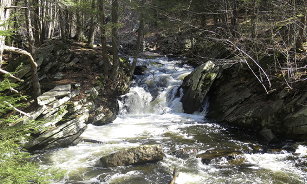 Saugatuck Falls in Redding