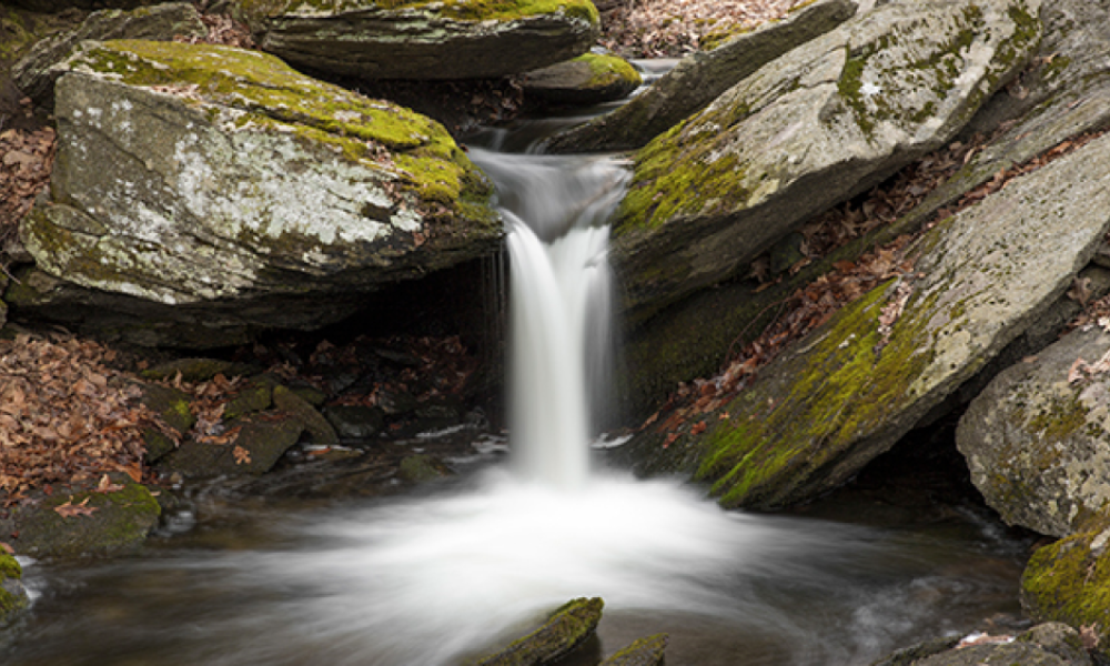 Sheep Falls in Wilton