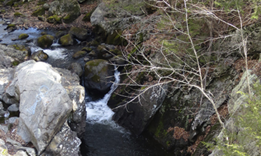 Valley Forge Falls in Weston