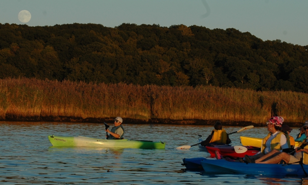 with river tourism