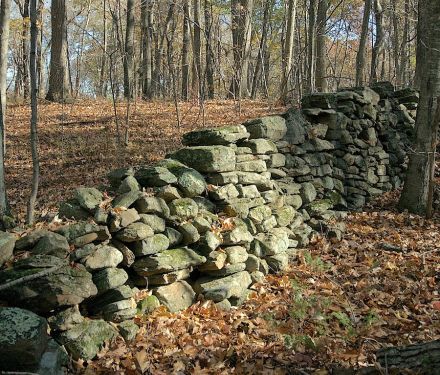 Moss-covered stone wall in autumn forest with fallen leaves