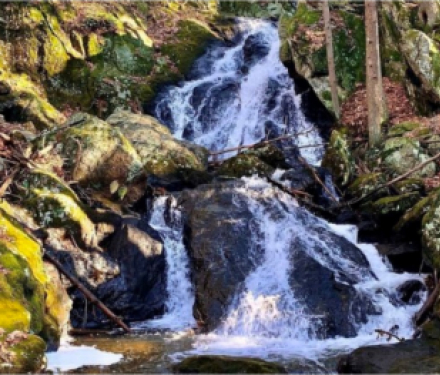 Waterfall cascading over moss-covered rocks in a forested area