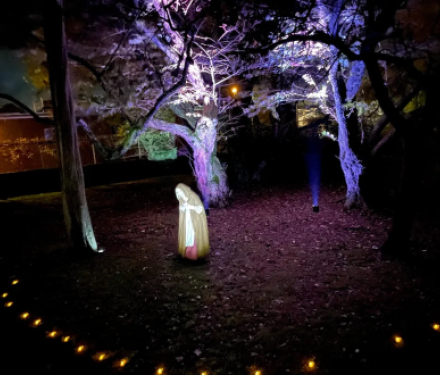 Witch Trials