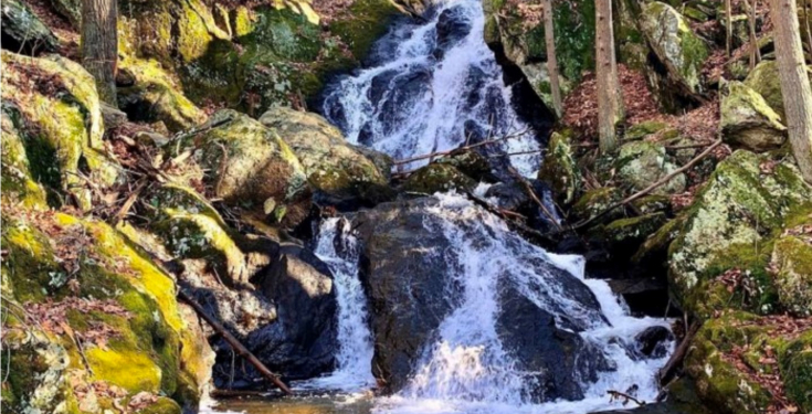 Waterfall cascading over moss-covered rocks in a forested area