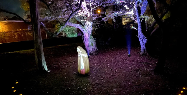 Witch Trials