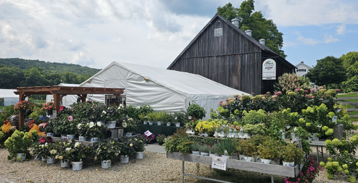 The Farmstand located at The Farm