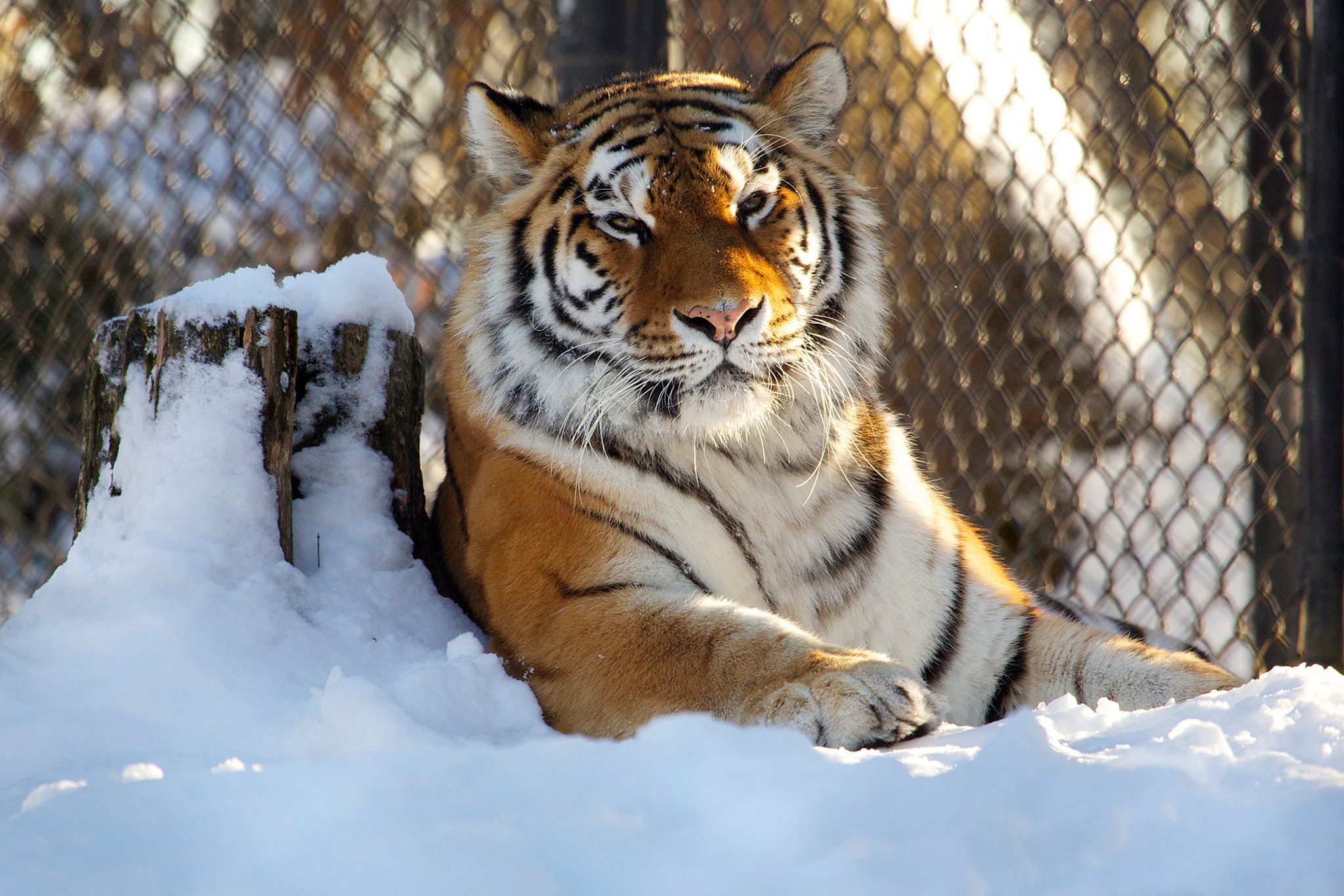 Connecticut's Beardsley Zoo | Visit CT